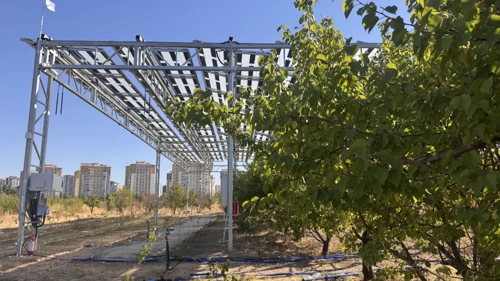 Kayısı bahçesine güneş panelleri kuruldu