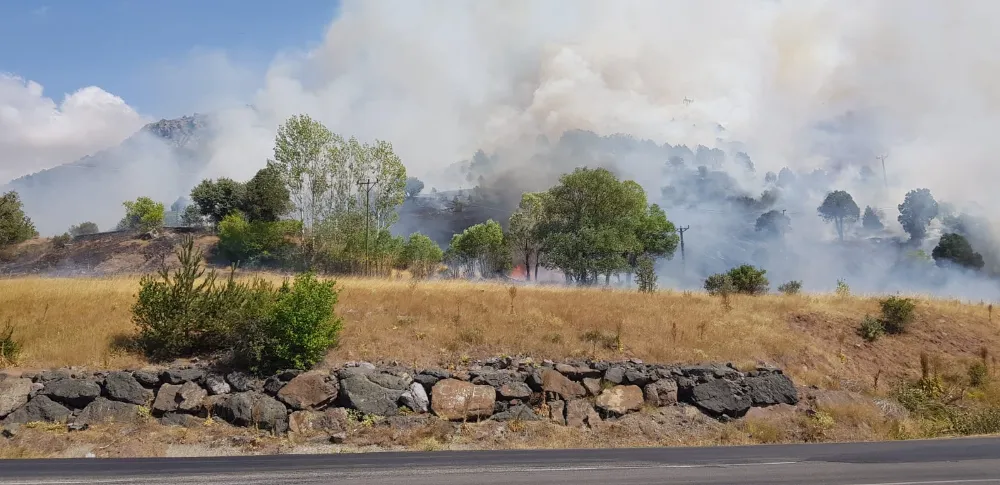 Ağaçlık alanda çıkan yangını söndürme çalışmaları sürüyor