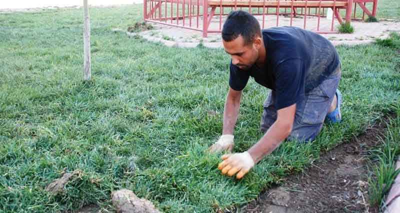 MELİKGAZİ REFÜJLERİ YEMYEŞİL