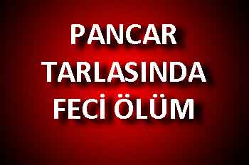 PANCAR TARLASINDA FECİ ÖLÜM