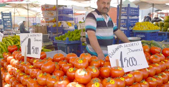 KOCASİNAN BELEDİYESİ